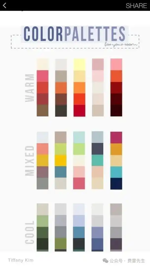 2025 Spring/Summer Shoes Popular Colors